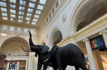Chicago Field Museum of Natural History Semi-Private Guided Tour
