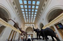 Chicago Field Museum of Natural History Semi-Private Guided Tour