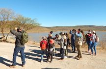 unique Bird Watching Tour in Aswan, discover more in Nile islands