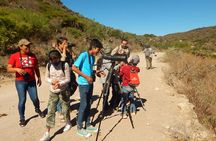 unique Bird Watching Tour in Aswan, discover more in Nile islands