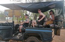 3 days Ghana must go Elephants private Safari