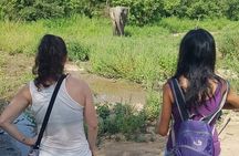 3 Days Elephants Safari at Mole Park with Round - trip flights