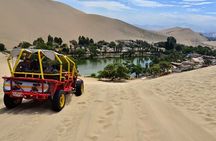From Lima: Full day Paracas - Ica