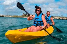 Private Aruba Kayak & Snorkeling Tour + Transortation