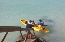 Private Aruba Kayak & Snorkeling Tour + Transortation