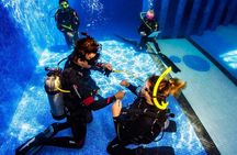 Learn diving with the Open Water course PADI ! 