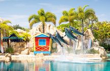 Gold Coast Hop On Hop Off Sightseeing Cruise 1 Day Pass