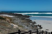 Cape Agulhas Full Day Private Tour