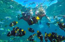 Yelapa Beach & Snorkel Tour Puerto Vallarta (Private group/yacht)
