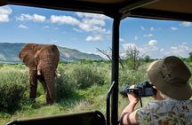 3-Hour Private Game Drive in Pilanesberg National Park