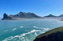 Private Tour: Cape of Good Hope, Cape point and Boulders Beach