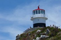 Private Tour: Cape of Good Hope, Cape point and Boulders Beach