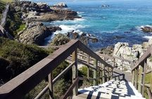 Cape Agulhas Full Day Private Tour