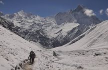 Private 7 - Day Annapurna Base Camp Trekking