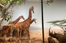 Chicago Field Museum of Natural History Semi-Private Guided Tour