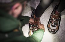 Gatineau Park Nocturnal Snowshoeing Adventure & Dinner - From Ottawa & Gatineau