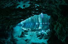 3 Cenote Dives - Casa & Dos Ojos