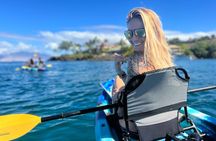 Kayak Whale Watch