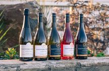 Devonport Area Wine and Chocolate Tour