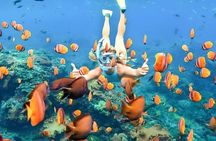 Bali Snorkeling Tour at Blue Lagoon Beach - All-Inclusive