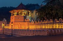 Temple of the Tooth & Royal Botanical Gardens Tour