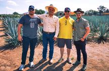 Private Tour La Fortaleza Distillery and visit to Tequila