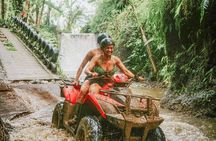 Bali Quad Bike Pass by Waterfall Gorilla Cave Private Transfer 