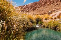 Puritama Hot Springs Tour with Tickets