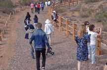  Agadir National Park & 4×4 Jeep Desert Safari Tour with Lunch