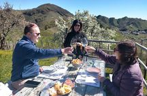 Prosecco Wine Tour. Half-day. From Venice