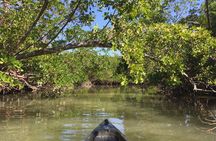 Marco Island Mangrove Tunnel and Maze Adventure Small group size