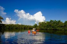 Marco Island Mangrove Tunnel and Maze Adventure Small group size