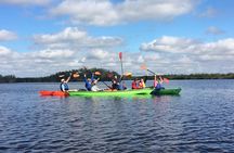 Marco Island Mangrove Tunnel and Maze Adventure Small group size