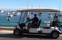Catalina Island All Inclusive Sightseeing Tour From Orange County