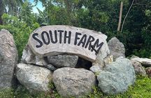 South Farm Tour Panglao in Bohol