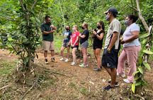 Chocolate, Vanilla & Coffee Combo Tour