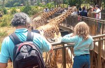 Private Tour in Giraffe Centre and Bomas of Kenya