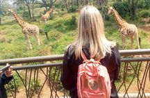 Private Tour in Giraffe Centre and Bomas of Kenya
