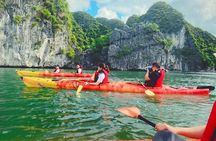 3 Days Tour from Cat Ba Town to Cat Ba National Park