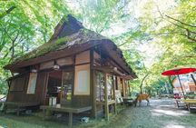 Nara Half Day Trip Walking Tour