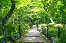 Kyoto Arashiyama Bamboo forest & Garden Half-Day Walking Tour