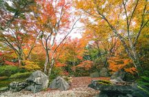 Kyoto Arashiyama Bamboo forest & Garden Half-Day Walking Tour