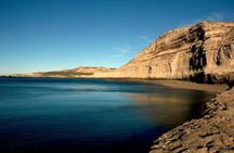 Tour Privado para Cruceros por la Península Valdés