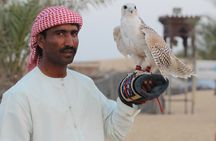 Evening Desert Safari With Camel Ride and Quad Bike Ride