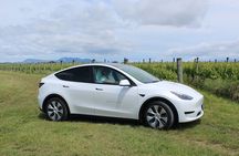 Private Martinborough Wine Tour in an Electric Vehicle - Tesla Model Y