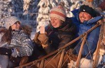 Sled Dog Sampler Ride in Fairbanks