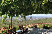 Explore the Secrets of Wine and Olives in Rethymno