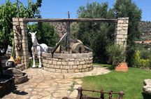 Explore the Secrets of Wine and Olives in Rethymno
