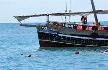 Wasini Dolphin Snorkeling