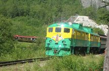 Half-Day Skagway City Tour and White Pass Summit Adventure
